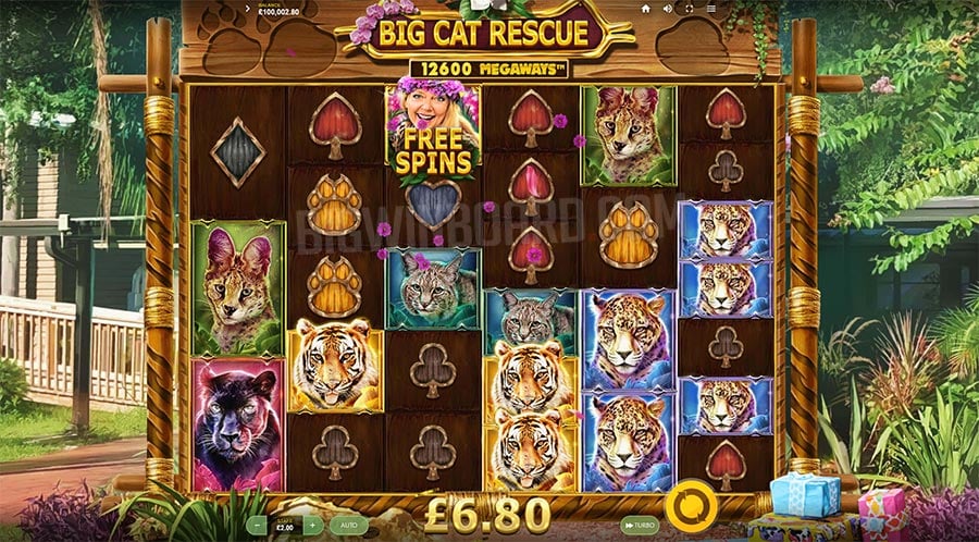 Big Cat Rescue Megaways Slot Free Play